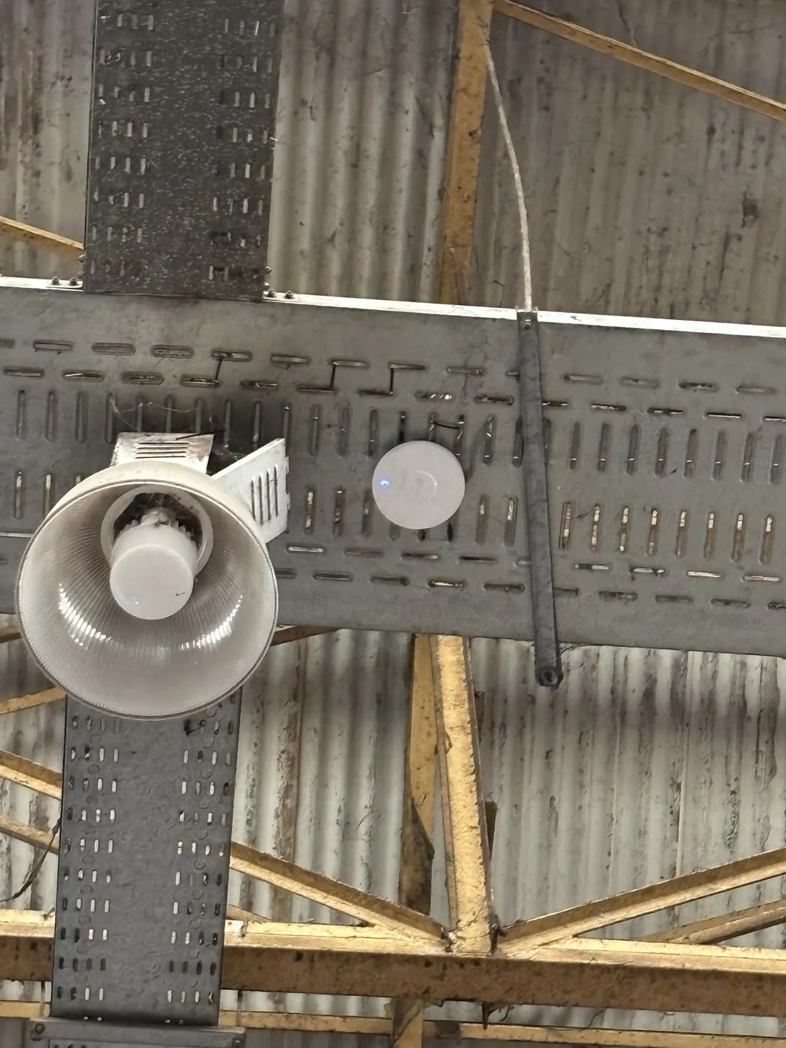 Access point montado sobre la bandeja de cableado, bajo un techo de chapa